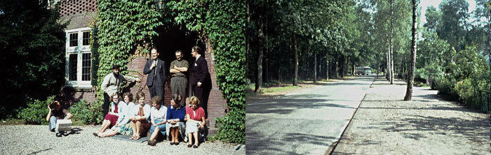 Sparrenheide aan de Melvill van Carnbeelaan